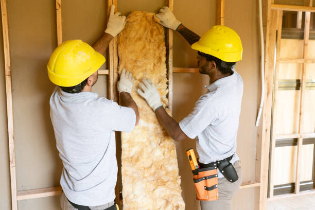 Best Insulation Air Sealing  in Wharton, TX